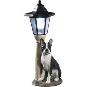 Solar Boston Terrier Lantern-Solar Powered Garden Lantern - Resin Dog Sculpture